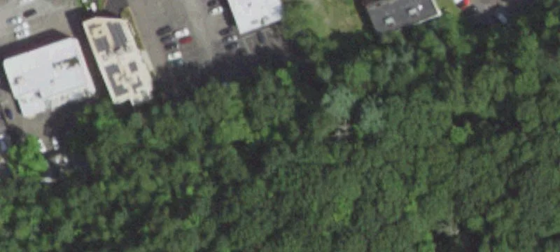 136 Woodbury Rd