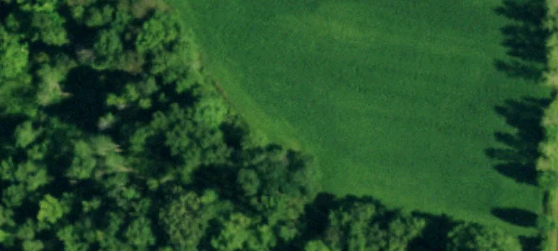 Schutt Rd