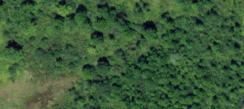1335 Rte 146