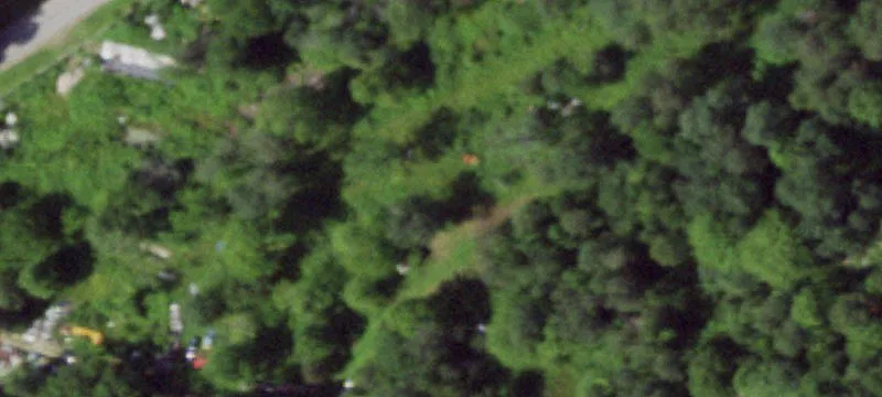 368 Daysville Rd