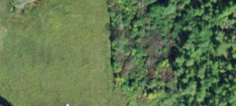 325 State Hwy 11b