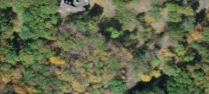 250 Corbett Rd
