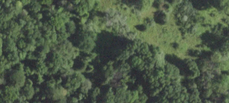 Rte 55