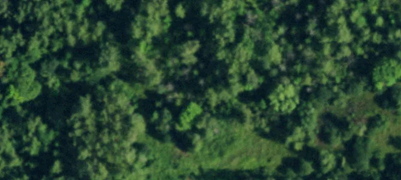 12396 Mcneeley Rd