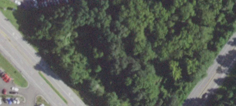 1031 Rte 22