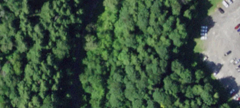 Richfield Springs, NY 13439
