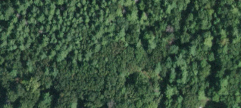 242 Ruby Rd