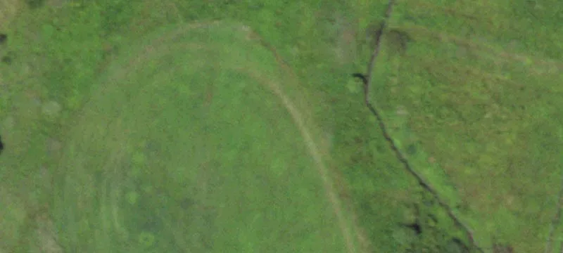 State Rte 49