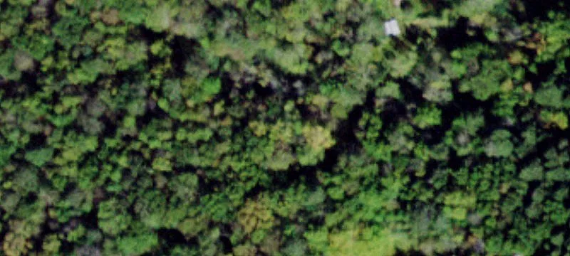 3883 State Rte 52