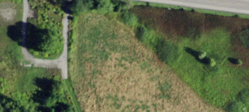 7100 Main Rd