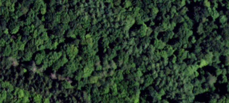 2749 Wolf Spg Rd