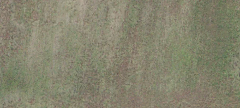 2755 Trombley Rd