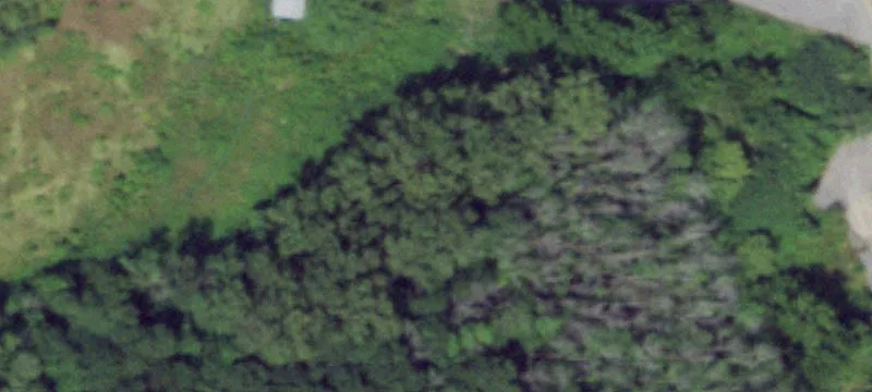 Stewart Dr