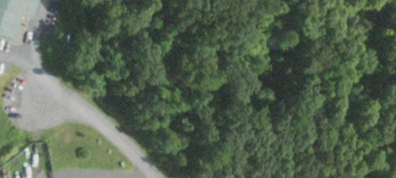 11 Lumen Ln