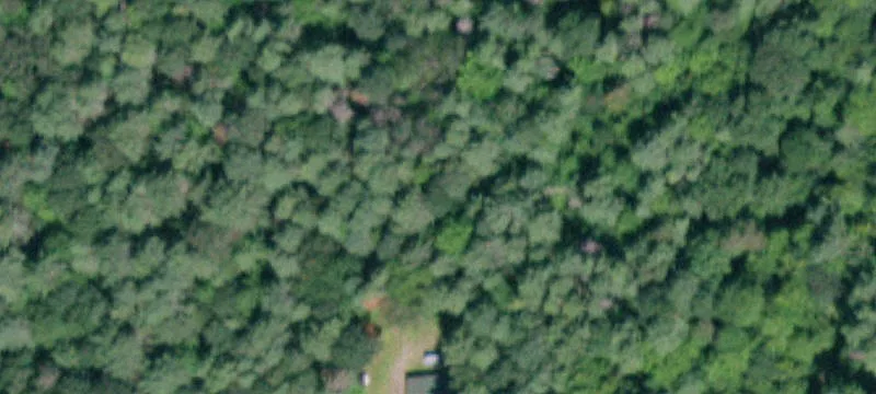 5494 State Hwy 29