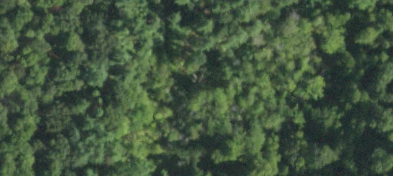 2092 Rte 9g
