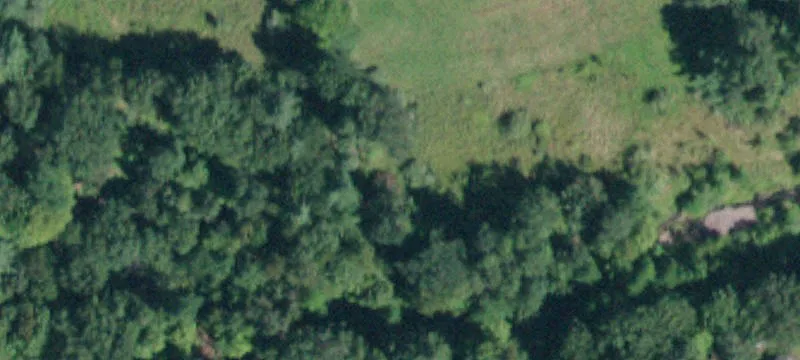 231 Carter Brg Rd