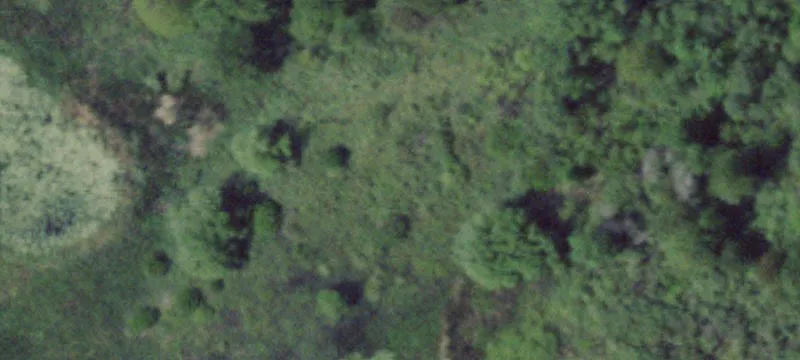 206 Greene Pt Rd