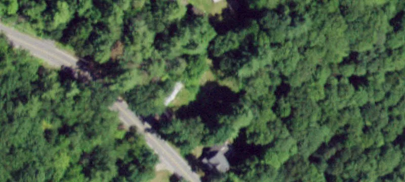 939 Trout Lk Rd