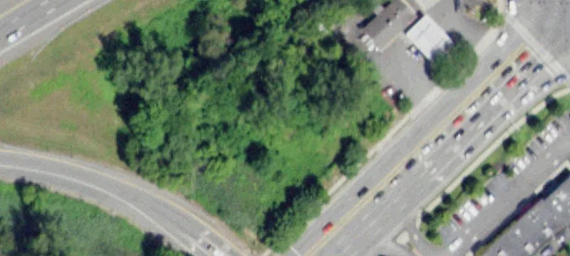 244 Wolf Rd