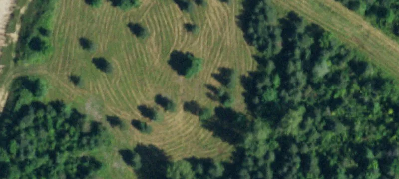 351 Pavement Rd