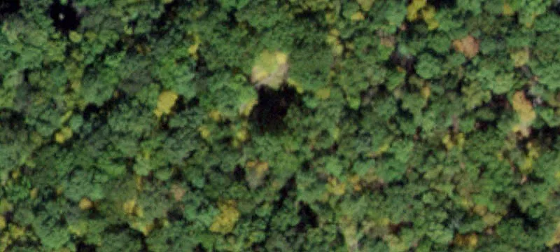 101st Sterling Mine Rd
