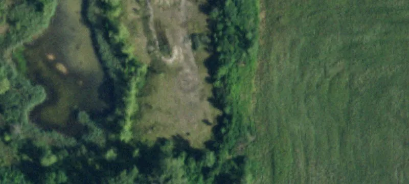 31 Peppermint Rd