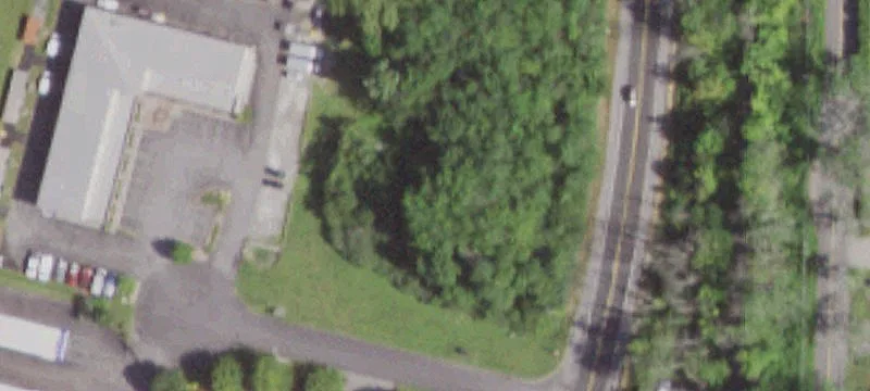 4 Lupi Ct