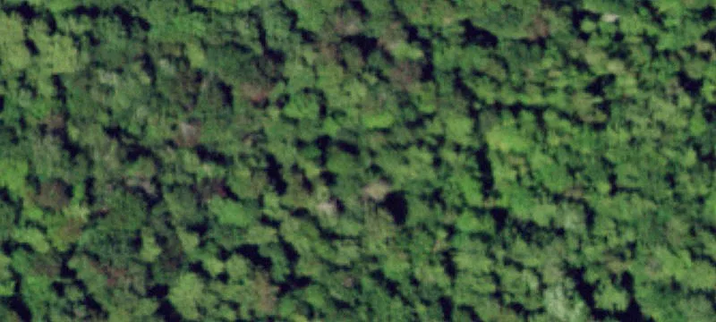 112 Long Lk Rd