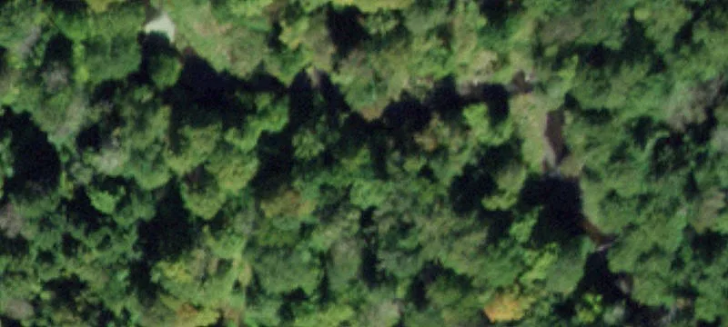 460 Creamery Rd
