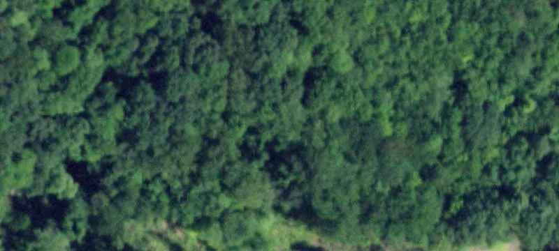 1377 Towpath Rd