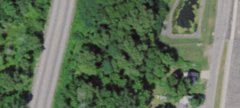 14 Elmwood Ave