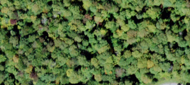 1894 Frost Vly Rd