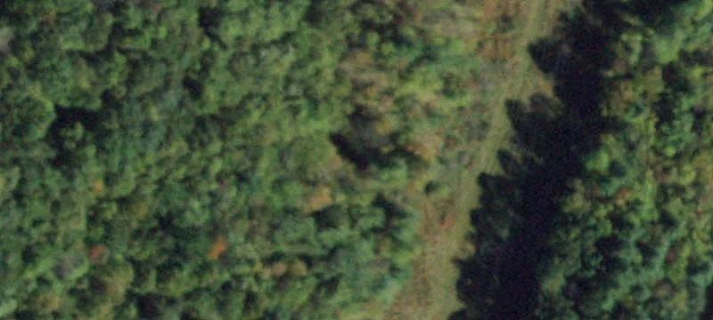 44 Dodd Rd