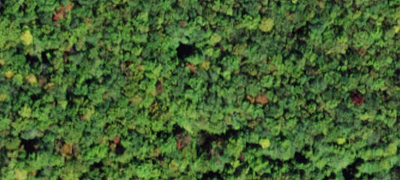 420 Hunter Rd