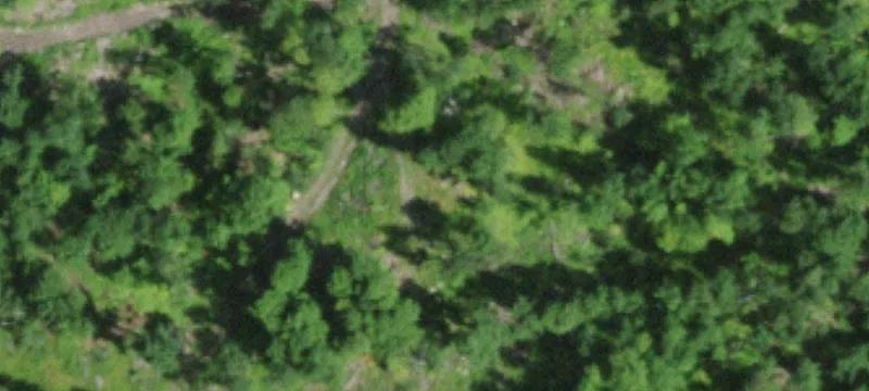 608 French Hl Rd