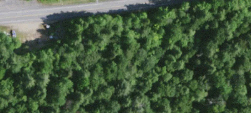 459 State Rte 28