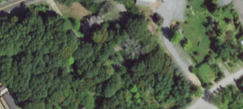 347 Main Rd