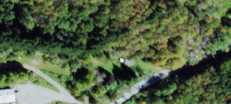 5561 White Roe Lk Rd