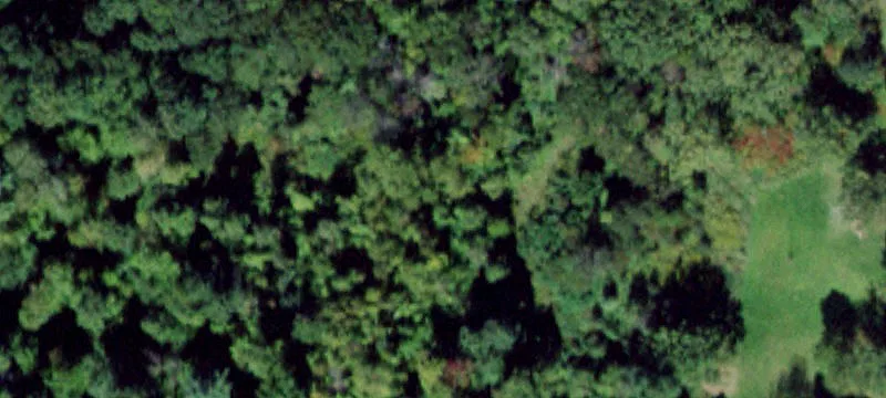 3031 State Rte 228