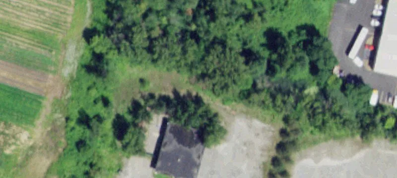 284 Wolf Rd