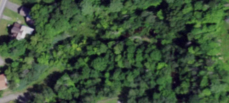 9 Titus Rd