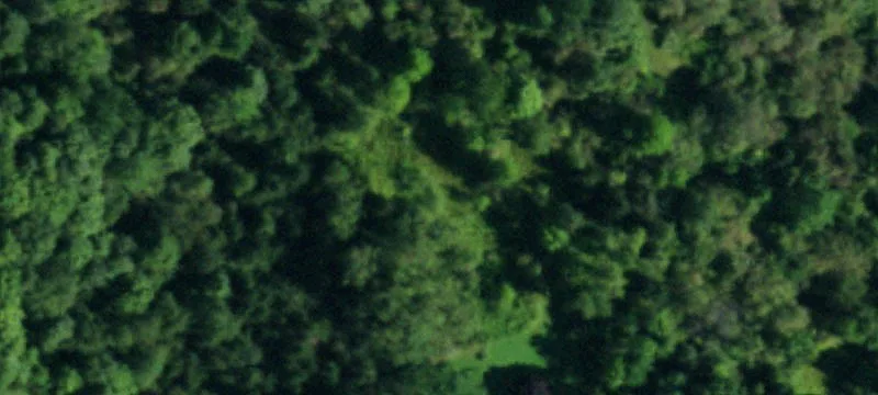 10380 Rte 39