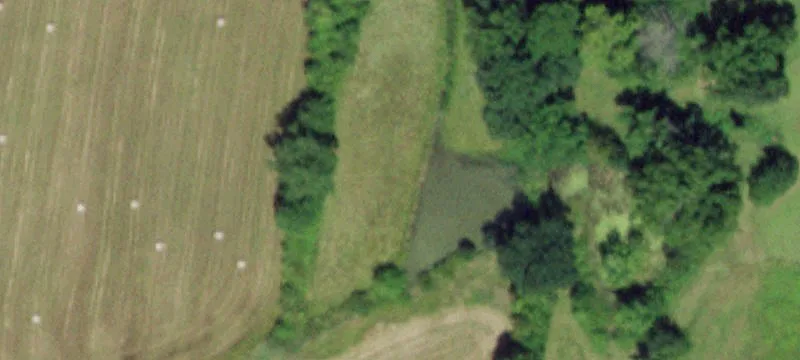 485 Lasher Rd