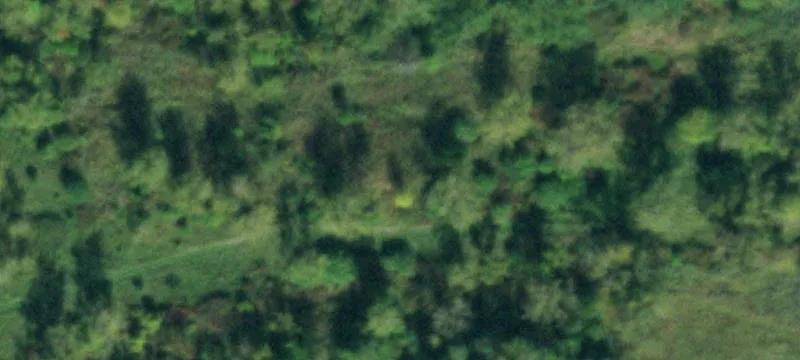 3088 Abbott Rd