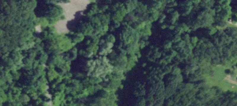 595 Vosburg Rd