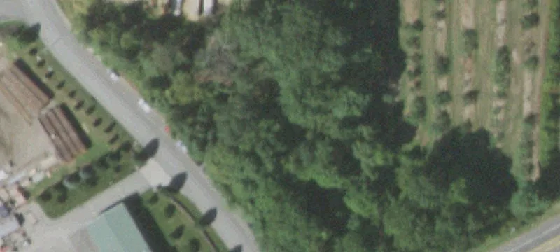 17 Burts Rd