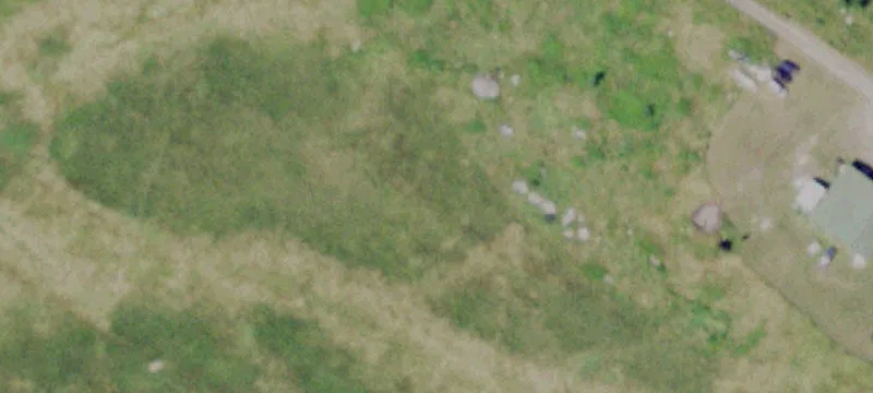 31589 Us Rte 11