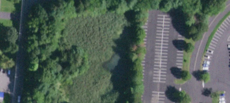 780 Neighborhood Rd