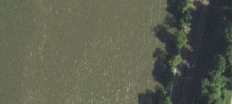 43 Water Grant St
